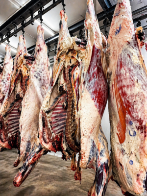 Half Beef Deposit*