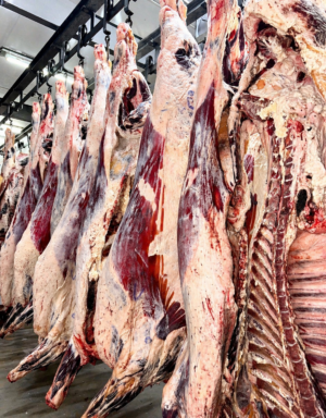 Whole Beef Deposit*